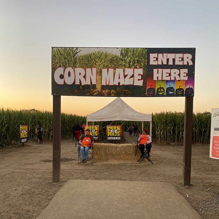 entry way to Dell’Osso Family Farm Corn Maze