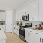 Lacewood-Kitchen-2