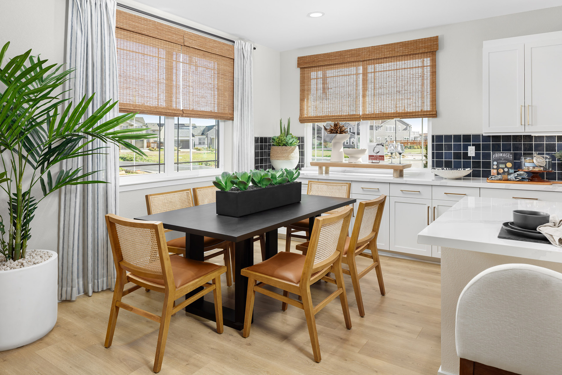 Monterey Plan 2 Interior by Van Daele Homes at River Islands in Lathrop CA